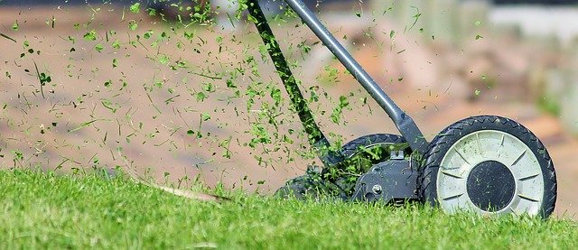 Dokonalý trávník zaručí správně seřízená sekačka
